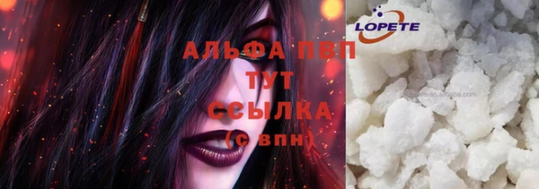 твердый Магас