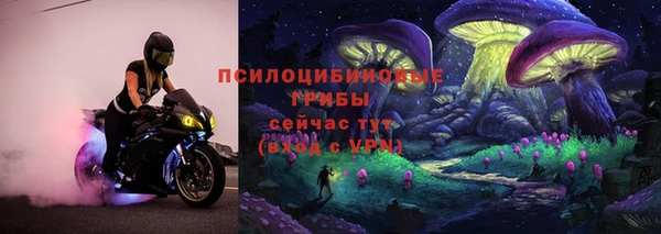 твердый Магас