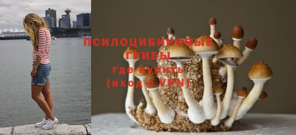мефедрон Медногорск