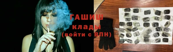твердый Магас