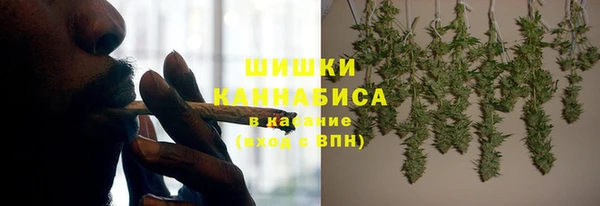 твердый Магас
