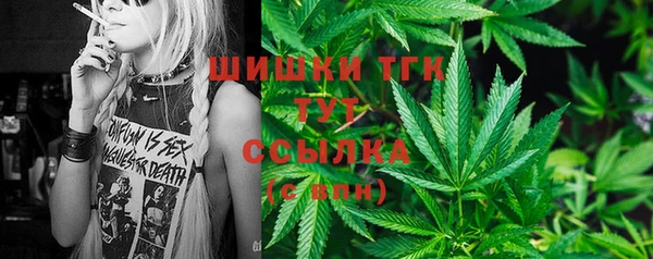 твердый Магас