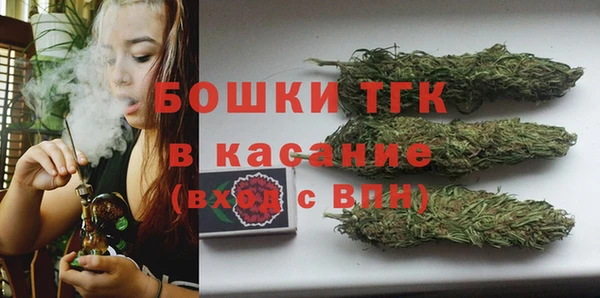 твердый Магас