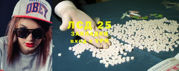 ГАЛЛЮЦИНОГЕННЫЕ ГРИБЫ Лысьва