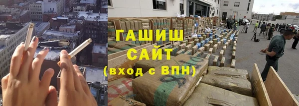 твердый Магас
