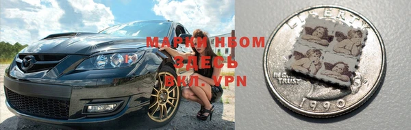 твердый Магас