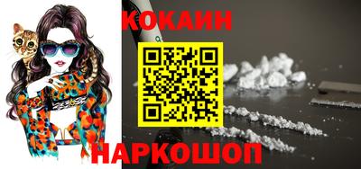 гашик Кандалакша