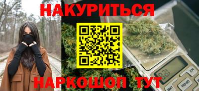 гашик Кандалакша