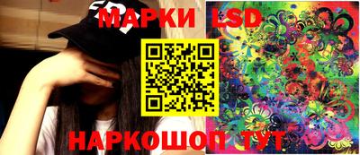 гашик Кандалакша