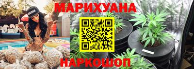 гидра Камышлов