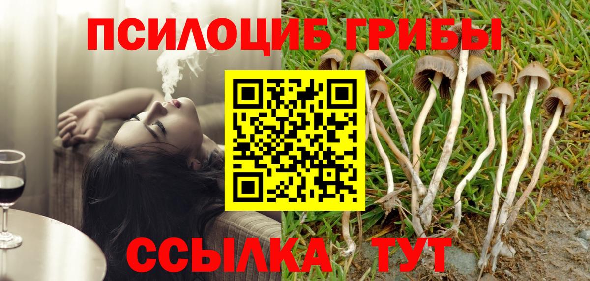 Мелеуз  Галлюциногенные грибы Psilocybine cubensis  Вход с VPN 