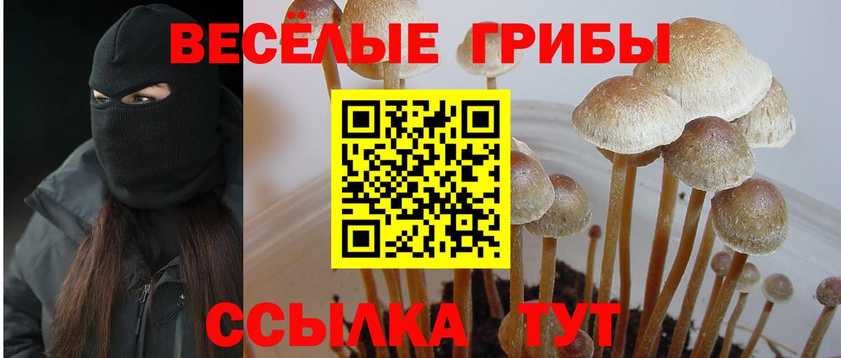 Мелеуз  Вход с VPN  Марихуана  ЭКСТАЗИ  КОКАИН  МЕФ  Цена  Метадон  A-PVP СОЛЬ   ГАШИШ  MDMA  Меф МЯУ МЯУ кристаллы 
