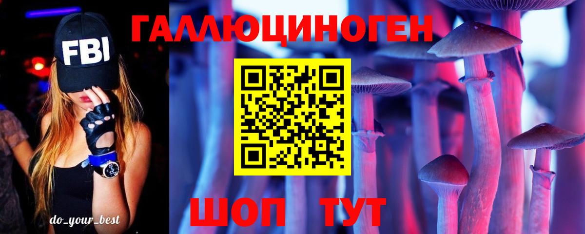 Псилоцибиновые грибы Psilocybe Мелеуз
